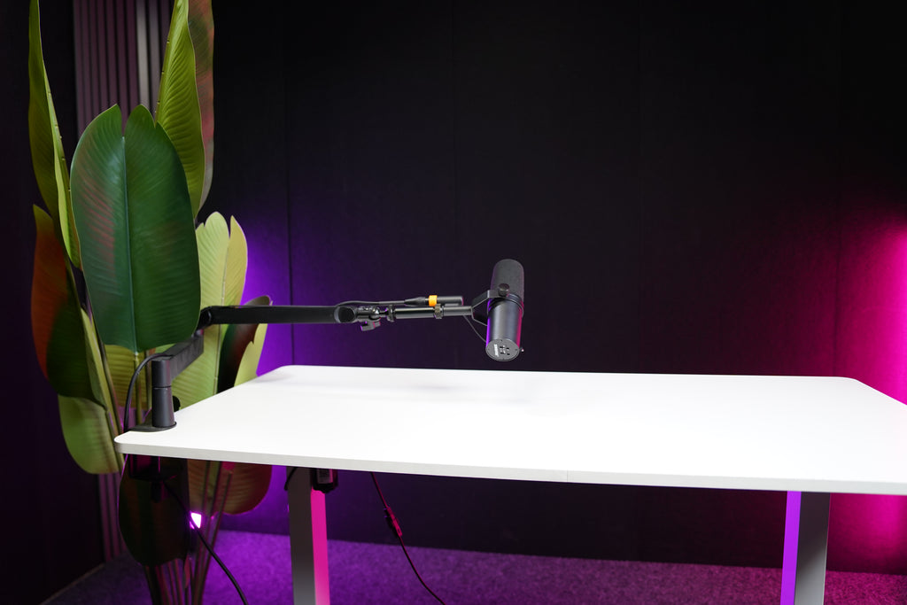 Запис на Talking Head Видео – Професионални Обучителни Видеа или YouTube Образователни Сесии