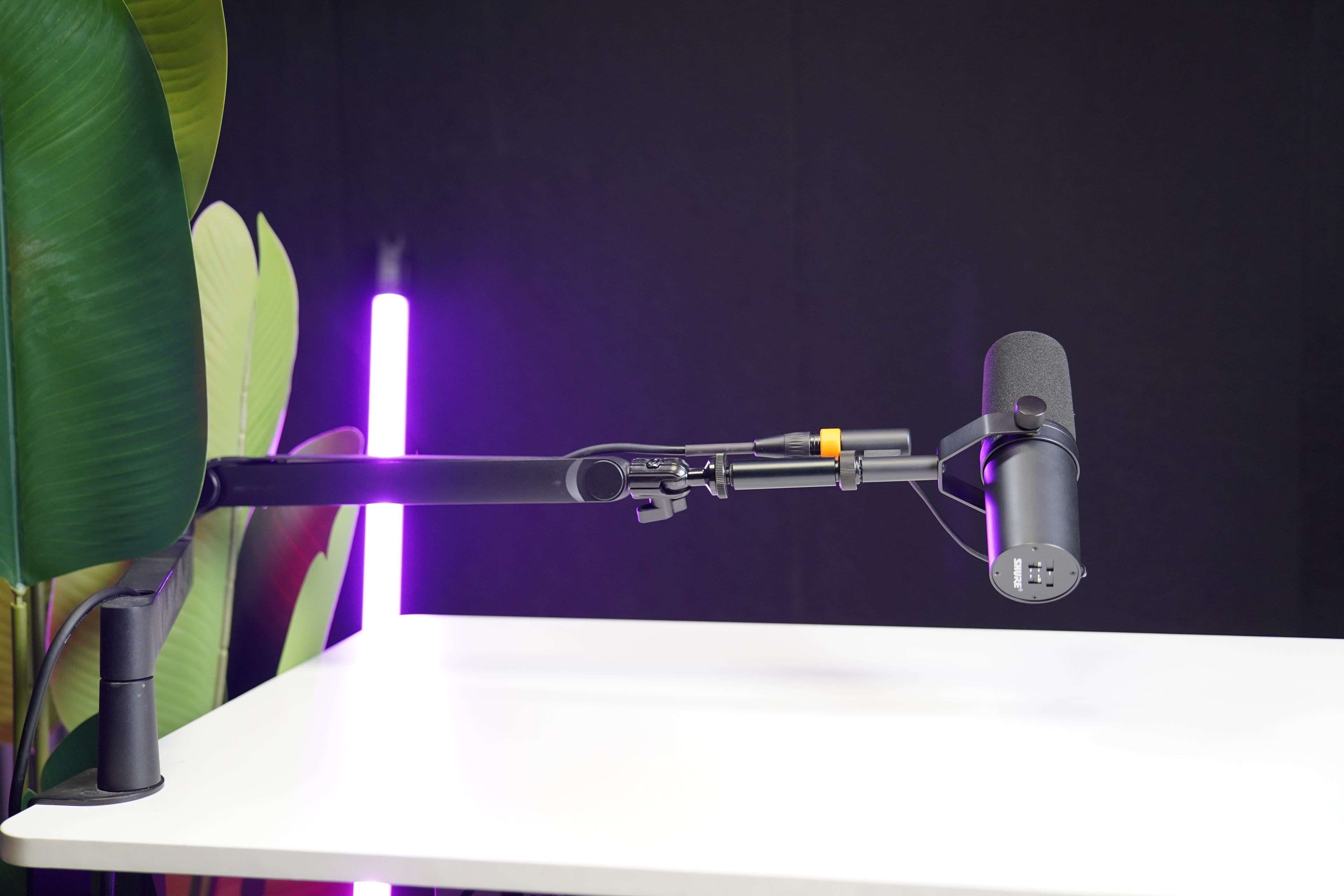 Запис на Talking Head Видео – Професионални Обучителни Видеа или YouTube Образователни Сесии